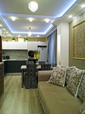 Современная кухня-гостиная 20 кв.м с диваном в Сургуте