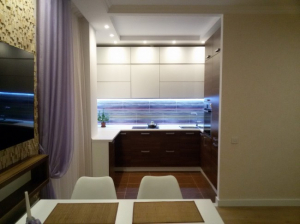 Дизайн современной кухни-гостиной 40 кв м с фасадами из стекла и пеналами с техникой