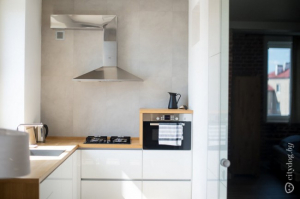 Зона кухни 8 кв м в квартире-студии в стиле лофт