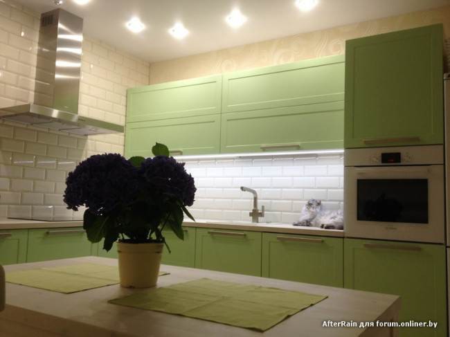Зеленая кухня: удачные оттенки и сочетания в интерьере (40 фото)